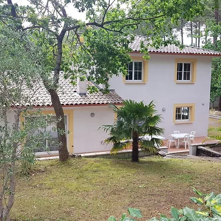Maison Calme Proche Golf - 8 Pers. - Fr-1-521-280 Prázdninový dům Biscarrosse